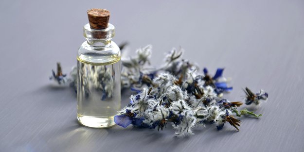 Diese 5 Pheromon-Parfums wirst du im Sommer lieben