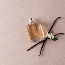 Blumig und sanft: Der Vanille-Duft, der jedem Tag einen Hauch Luxus verleiht