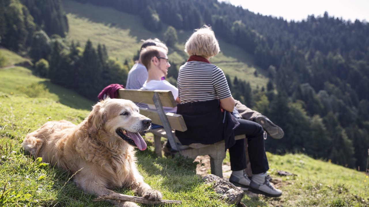 Baden Württemberg ist ein Wanderparadies für Menschen und Hunde.