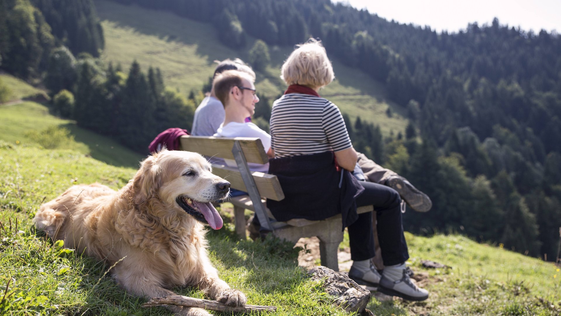Wanderabenteuer-mit-Hund-in-Baden-W-rttemberg-Das-sind-die-sch-nsten-Touren