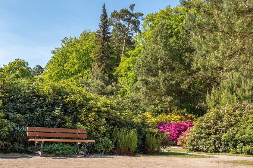  Rhododendronpark