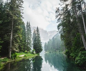 Die Bedeutung der Farbe Grün: Natur, Harmonie und Erneuerung