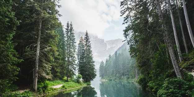 Die Bedeutung der Farbe Grün: Natur, Harmonie und Erneuerung