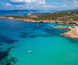 Unbesorgt schwimmen: Gibt es auf Ibiza Haie?