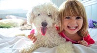 Haustiere für Kinder: Das solltest Du wissen!