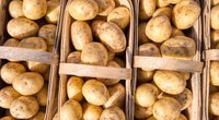 Kartoffeln waschen: Wann ist es nötig und wie geht es richtig?