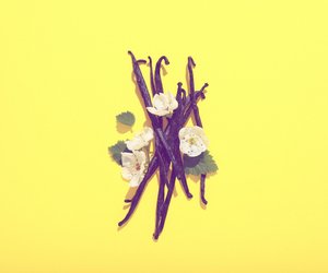 Vanilla Vibes: Die heißesten Gourmand-Parfums, die jetzt ALLE obsessiv lieben