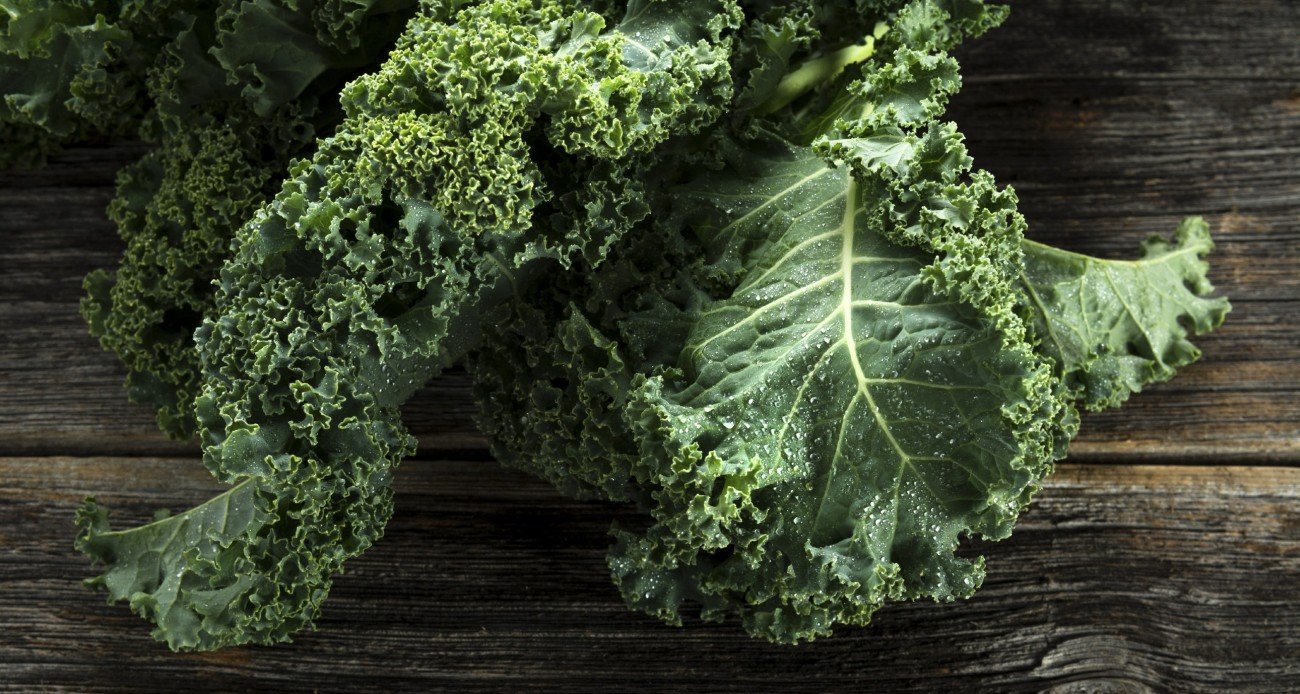 Organic kale with water droplets in closeup Organic kale with water droplets in closeup