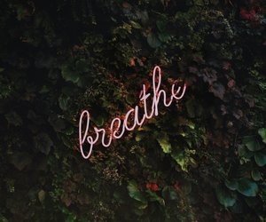 Meine unglaublichen Erfahrungen mit der gehypten Atemtechnik