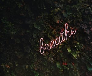 Psychedelic Breath: Meine Erfahrungen mit der gehypten Atemtechnik