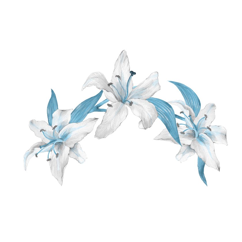 weiß-blaue Lilien