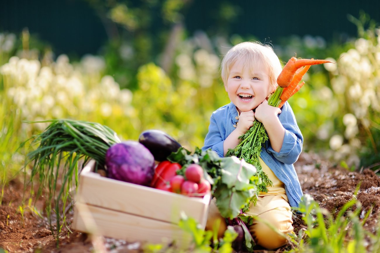 Kleiner Junge mit Gemüsekiste lebt vegan. Kleiner Junge mit Gemüsekiste lebt vegan.