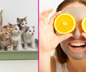 Pinterest-Trend: Katzenstreu als Gesichtsmaske?