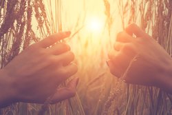 Vorbeugung Sonnenallergie Vorbeugung Sonnenallergie