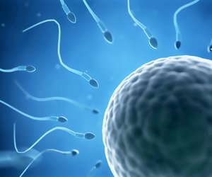 Studie: Männer produzieren weniger Spermien