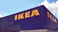 Tierisch gut: Ikea bringt niedliches Katzenhaus aus Rattan auf den Markt