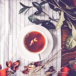 Welcher Tee ist am besten zum Abnehmen? Die 10 effektivsten Sorten