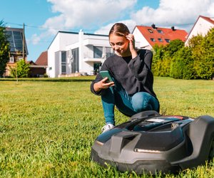 Rasenmähen: Wann ist die beste Zeit und was sollte man beachten?