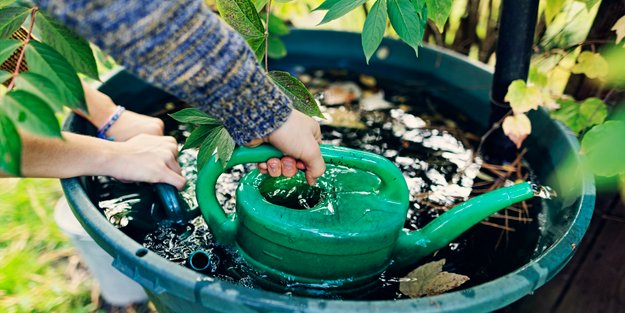 Wasserkosten senken: So kannst du clever Regenwasser sammeln