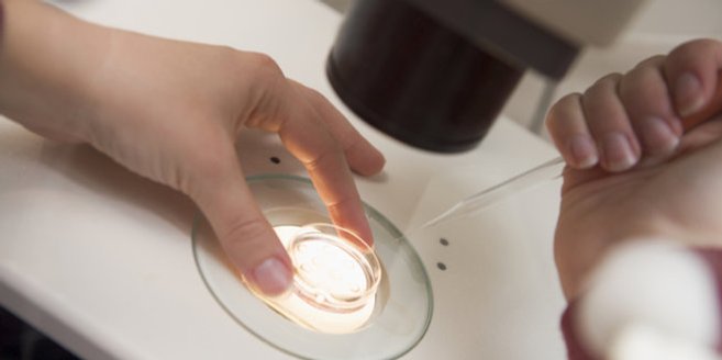 In-Vitro-Fertilisation: Befruchtung im Reagenzglas In-Vitro-Fertilisation: Befruchtung im Reagenzglas