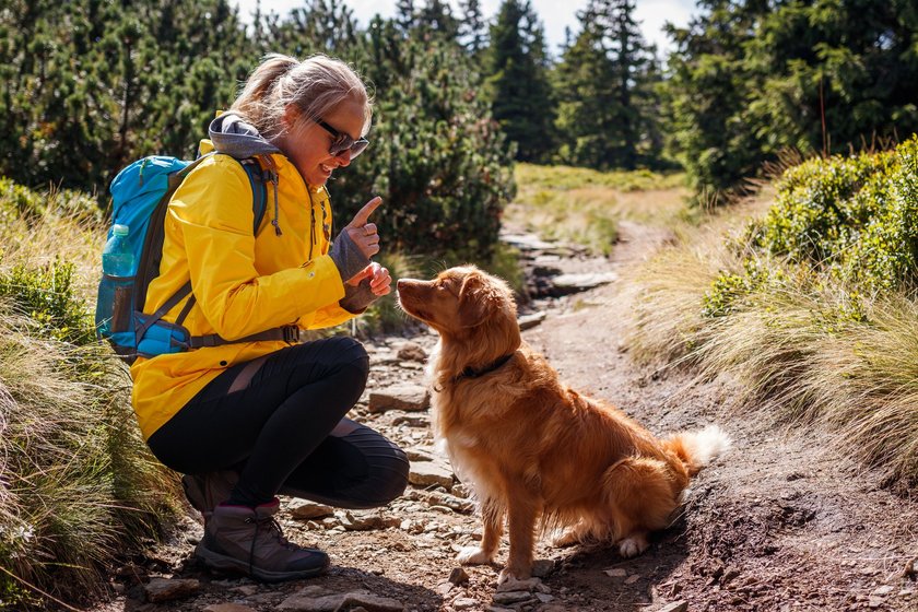 Nova Scotia Duck Tolling retriever with pet owner in nature. Smiling woman doing obedience training to her dog during hike