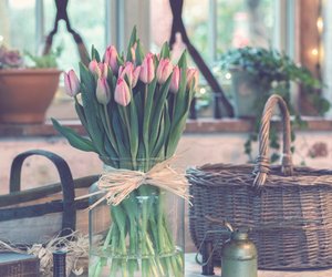 Schnittblumen frisch halten: So hält der Blumenstrauß länger