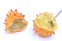 Kiwano löffeln Kiwano löffeln