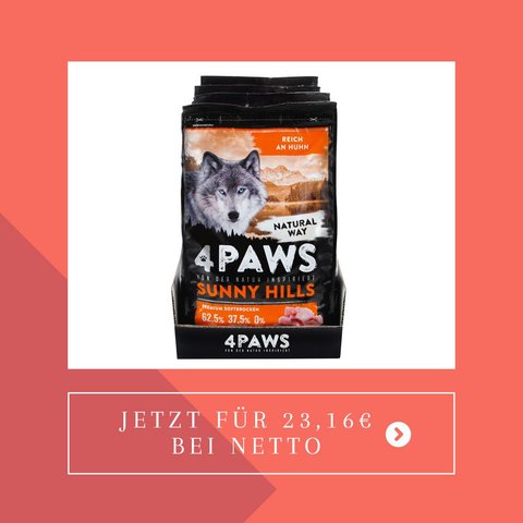 Es muss nicht das Teuerste sein: Diese Trocken-Hundefutter berzeugen im  ko-Test
