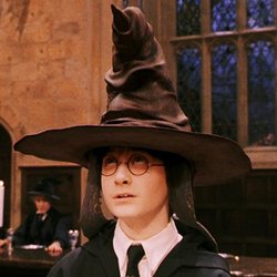 Harry Potter Haus Test: Slytherin, Gryffindor, Hufflepuff oder Ravenclaw?