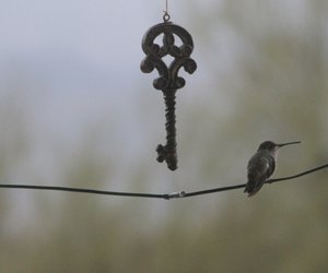 Traumdeutung Schlüssel: Was steckt hinter diesem Symbol?