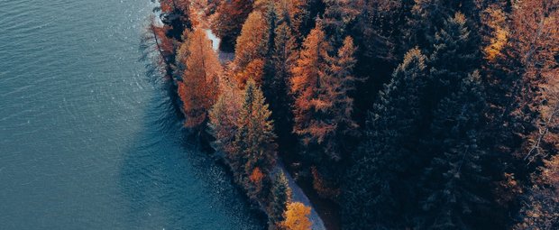 Gegen den Herbstblues: Mit diesen 7 Büchern wird deine Seele gestreichelt