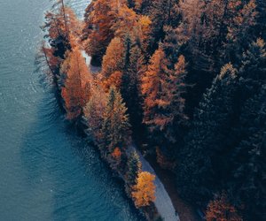 Herbstblues ade: 7 Bücher, die deine Seele garantiert wärmen