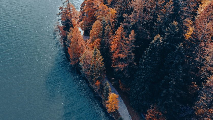 7 Bücher für die Seele, die dir durch den Herbstblues helfen