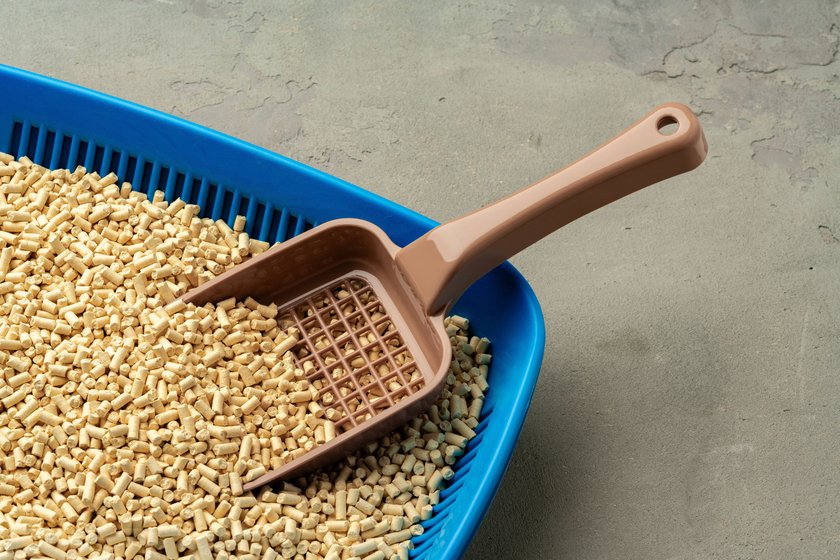 Pet litter tray with wooden filler on gray background close up , 57819542.jpg, clean, filled, toilet, plastic, wood, filler, kitten, domestic, feline, hygiene, wooden, care, background, animal, cat, tray, litter, box, natural, litterbox, feces, indoors, recycled, equipment, nobody, sandbox, urine, kitty, pet, closeup, floor, home, litter box, object, pets, shovel, rectangle, organic, paddle, cat litter, container, pile, biodegradable, pellet, dry, biofuel, clumping filler, litter tray, pelleted RECORD DATE NOT STATED
