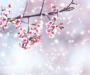 Nach Wintereinbruch im April: Wie lange müssen wir noch auf den Frühling warten?