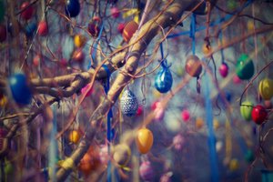 Ostereier im Baum Ostereier im Baum