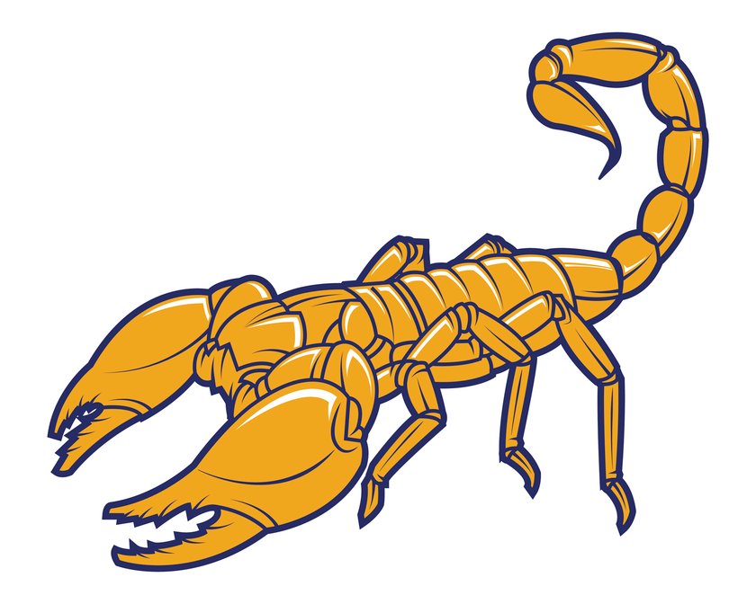 Skorpion-Tattoo Vorlage 5