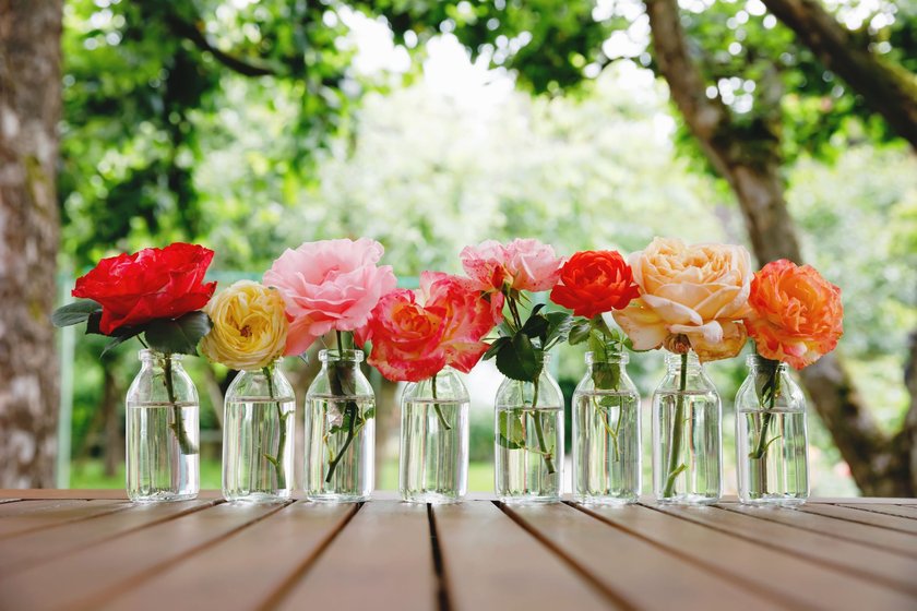 Variation or group of garden roses flowers in small vases or bottles. Colorful flower arrangement or decoration in rainbow colors. Home or garden, terrace decor concept