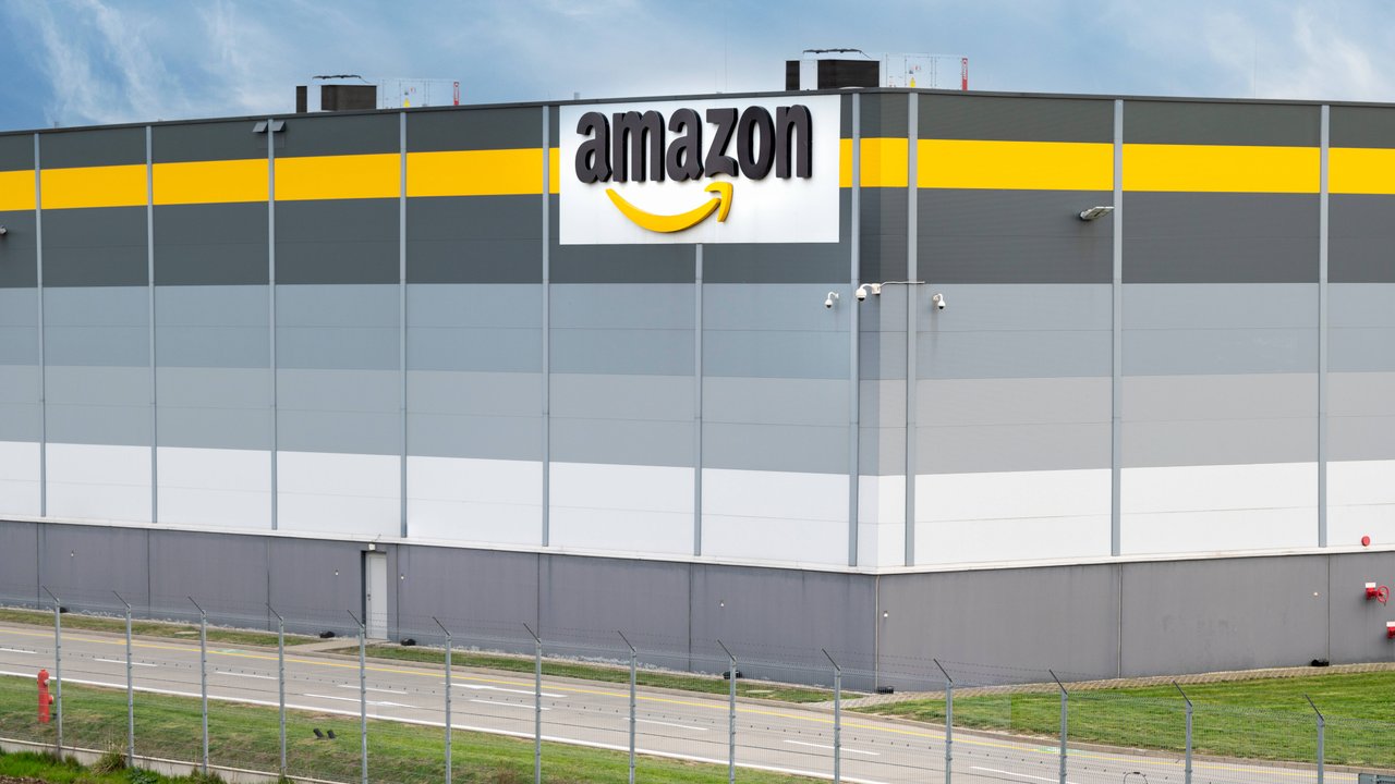 Aktuell besonders angesagt sind die Plüschkissen von Amazon.