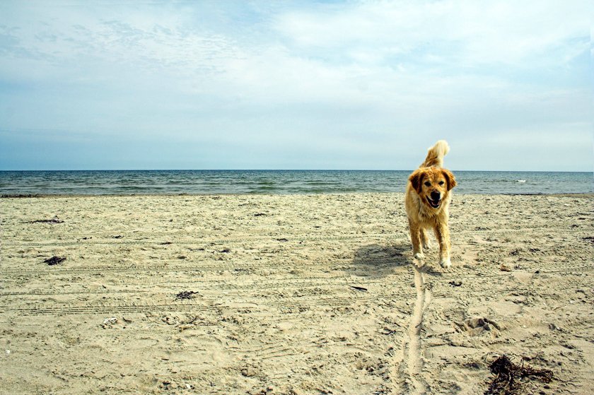 Ostsee, Sellin Ostsee