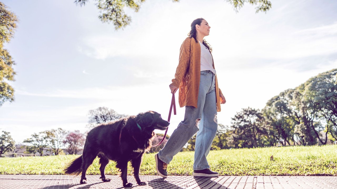 frau geht mit hund spazieren im park