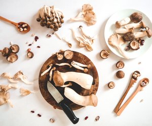 Welche Pilze kann man essen? Unsere Tipps und Tricks 