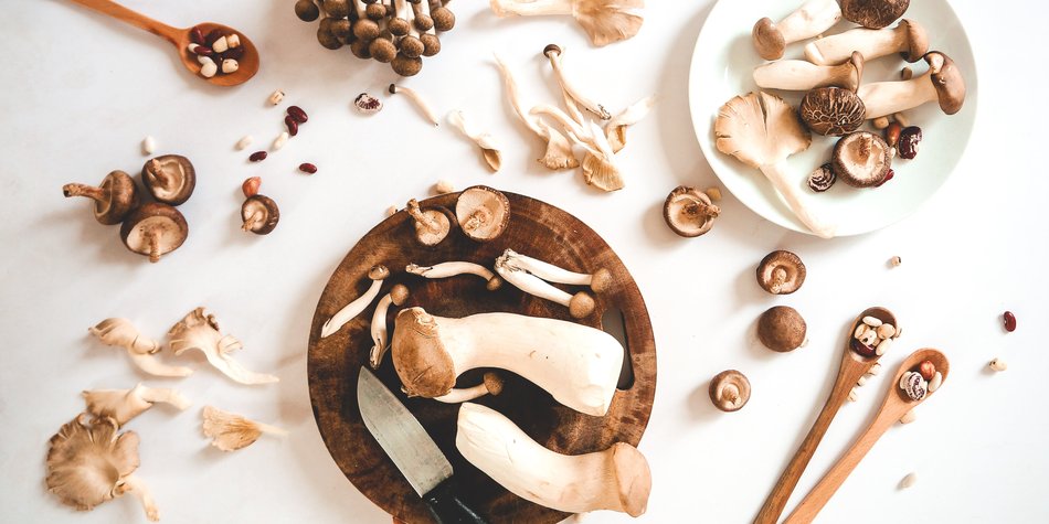 Welche Pilze kann man essen? Unsere Tipps und Tricks 