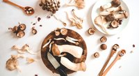 Welche Pilze kann man essen? Unsere Tipps und Tricks 