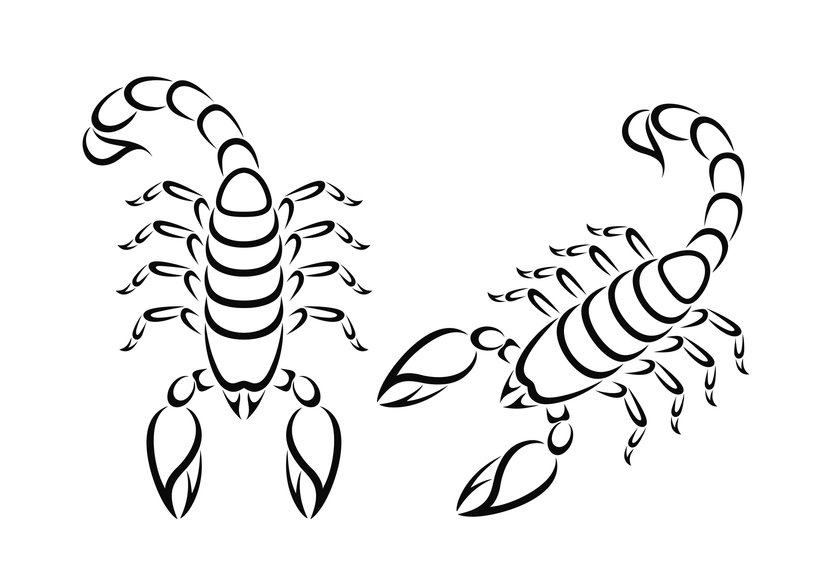 Skorpion-Tattoo Vorlage 11