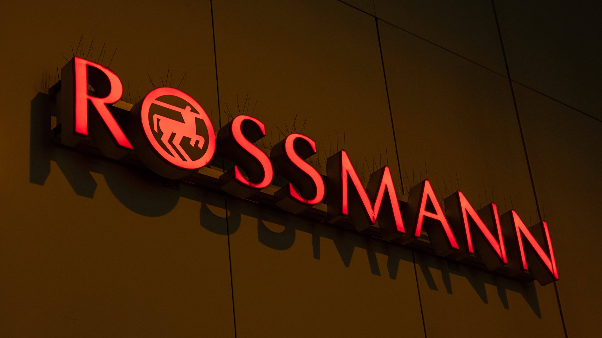 Diese-Satin-Schlafhaube-von-Rossmann-ist-der-Beauty-Tipp-f-r-dein-Haar
