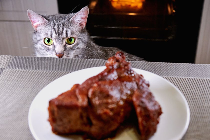 Eine Katze schaut zum Tisch, auf dem ein Teller mit Fleisch steht.