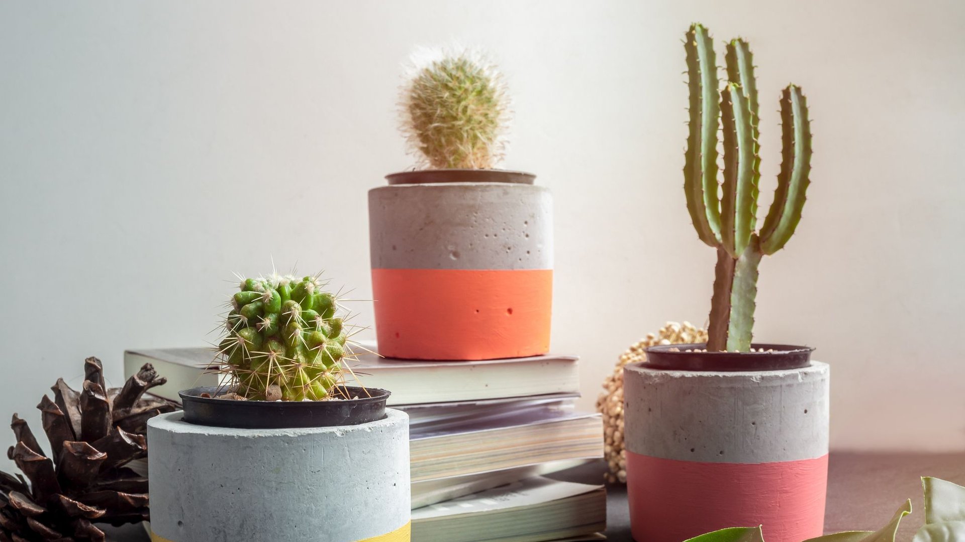 4-Blument-pfe-von-Breuninger-schaffen-in-deinen-R-umen-ein-tolles-Ambiente-