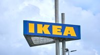 Warum alle bei Ikea dieses grüne Deko-Set im Warenkorb haben