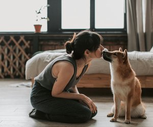 Von Natur aus misstrauisch: Diese Hunde brauchen lange, bis dir vertrauen